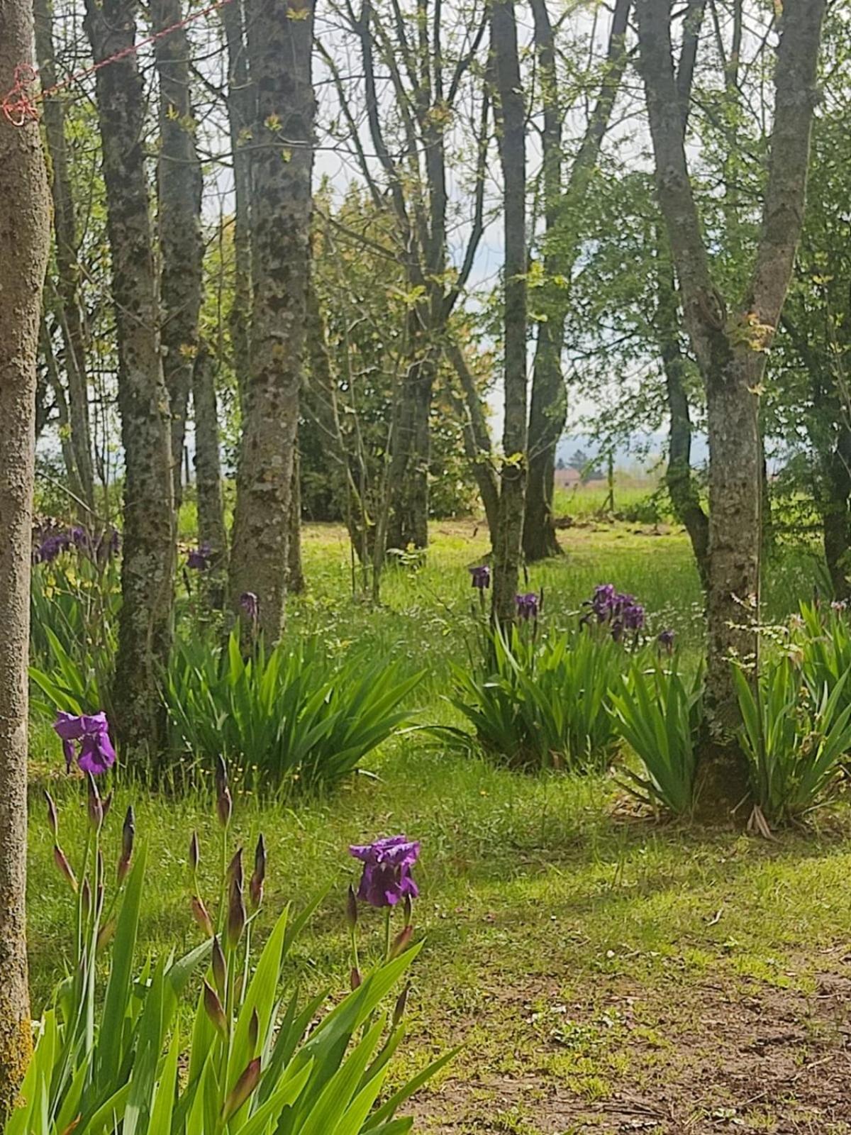 La Frenaie Bed & Breakfast Saint-Cyr-sur-le-Rhone Exterior foto